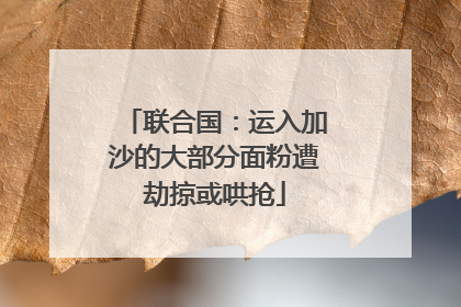 联合国：运入加沙的大部分面粉遭劫掠或哄抢