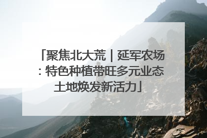 聚焦北大荒｜延军农场：特色种植带旺多元业态 土地焕发新活力