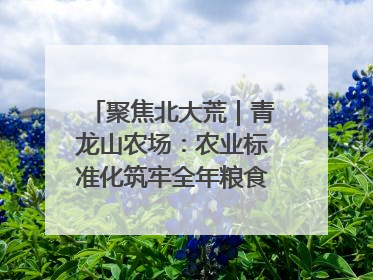 聚焦北大荒｜青龙山农场：农业标准化筑牢全年粮食安全根基