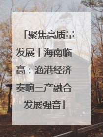 聚焦高质量发展丨海南临高：渔港经济奏响三产融合发展强音