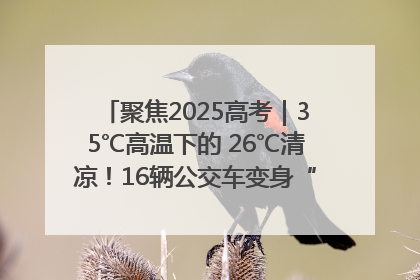 聚焦2025高考｜35℃高温下的 26℃清凉！16辆公交车变身“助考驿站”为高考护航