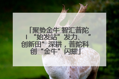 聚势金牛 智汇普陀〡“始发站”发力、“创新田”深耕，普陀科创“金牛”闪耀