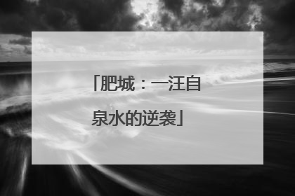 肥城：一汪自泉水的逆袭