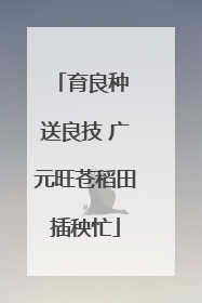 育良种 送良技 广元旺苍稻田插秧忙
