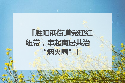 胜阳港街道党建红纽带，串起商居共治 “烟火圈”