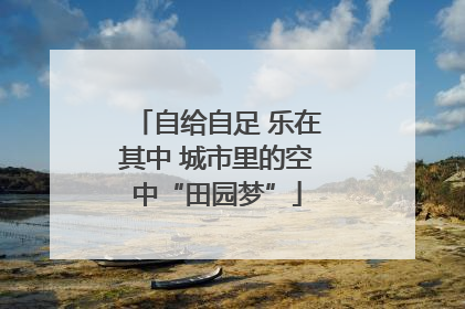 自给自足 乐在其中 城市里的空中“田园梦”