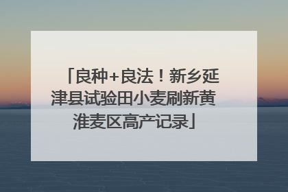 良种+良法！新乡延津县试验田小麦刷新黄淮麦区高产记录