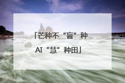 芒种不“盲”种 AI“慧”种田