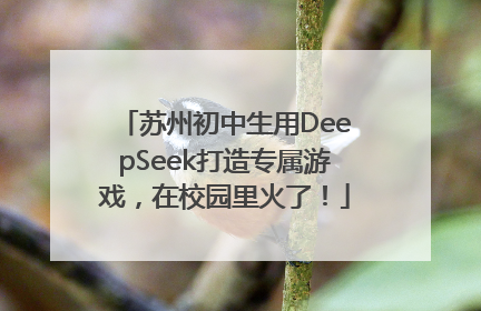 苏州初中生用DeepSeek打造专属游戏，在校园里火了！
