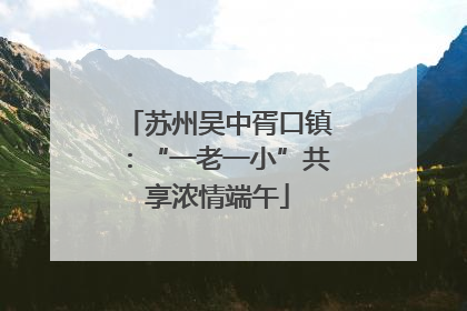 苏州吴中胥口镇：“一老一小”共享浓情端午