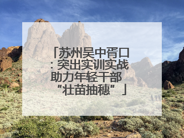 苏州吴中胥口：突出实训实战 助力年轻干部“壮苗抽穗”