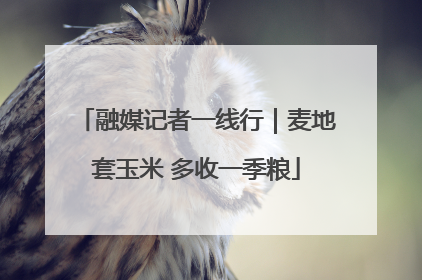 融媒记者一线行｜麦地套玉米 多收一季粮