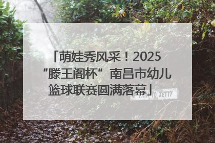 萌娃秀风采！2025“滕王阁杯”南昌市幼儿篮球联赛圆满落幕