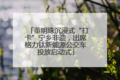 董明珠沉浸式“打卡”宁乡非遗，出席格力钛新能源公交车投放启动式