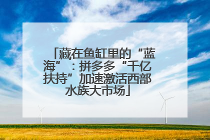 藏在鱼缸里的“蓝海”：拼多多“千亿扶持”加速激活西部水族大市场