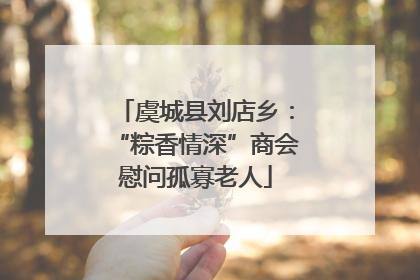 虞城县刘店乡：“粽香情深”商会慰问孤寡老人