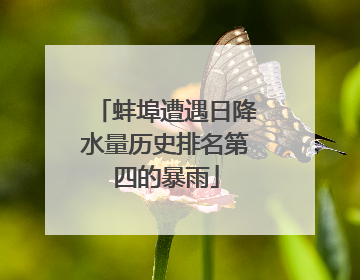 蚌埠遭遇日降水量历史排名第四的暴雨