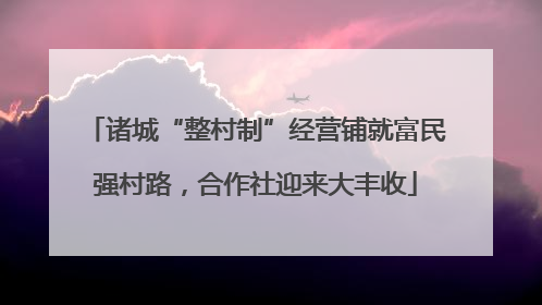诸城“整村制”经营铺就富民强村路，合作社迎来大丰收