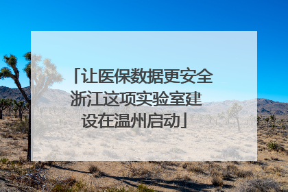 让医保数据更安全 浙江这项实验室建设在温州启动