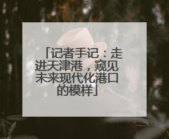 记者手记：走进天津港，窥见未来现代化港口的模样