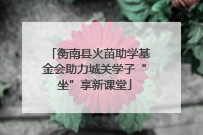衡南县火苗助学基金会助力城关学子“坐”享新课堂
