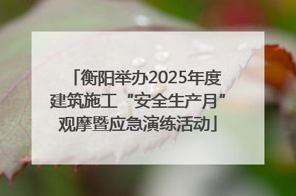 衡阳举办2025年度建筑施工“安全生产月”观摩暨应急演练活动