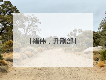 褚伟，升副部