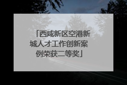 西咸新区空港新城人才工作创新案例荣获二等奖