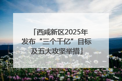 西咸新区2025年发布“三个千亿”目标及五大攻坚举措