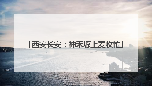 西安长安：神禾塬上麦收忙