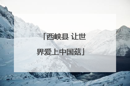 西峡县 让世界爱上中国菇