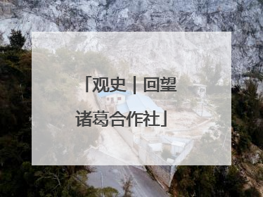 观史｜回望诸葛合作社