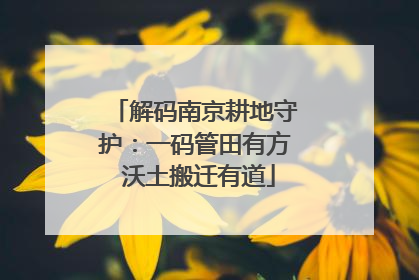 解码南京耕地守护：一码管田有方 沃土搬迁有道