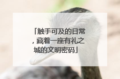 触手可及的日常，藏着一座有礼之城的文明密码