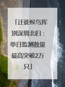迁徙候鸟挥别深圳北归：单日监测数量最高突破2万只
