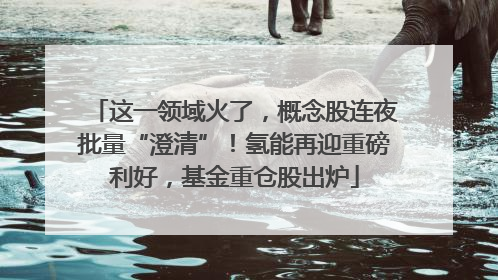 这一领域火了，概念股连夜批量“澄清”！氢能再迎重磅利好，基金重仓股出炉