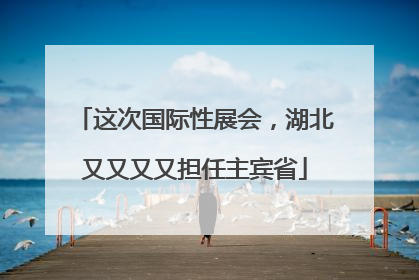 这次国际性展会，湖北又又又又担任主宾省