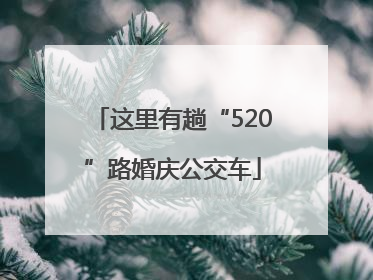 这里有趟“520”路婚庆公交车