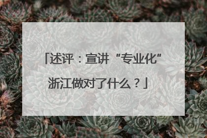 述评：宣讲“专业化” 浙江做对了什么？
