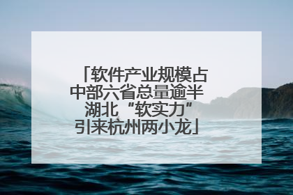 软件产业规模占中部六省总量逾半 湖北“软实力”引来杭州两小龙