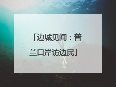 边城见闻：普兰口岸访边民