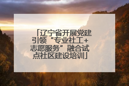 辽宁省开展党建引领“专业社工+志愿服务”融合试点社区建设培训