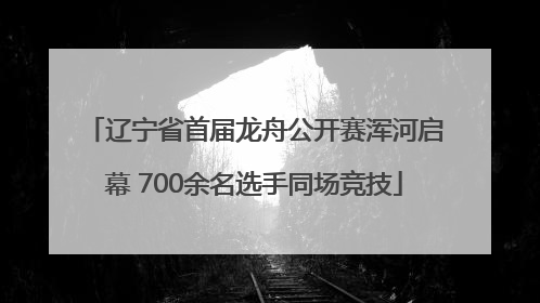 辽宁省首届龙舟公开赛浑河启幕 700余名选手同场竞技
