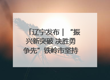 辽宁发布｜“振兴新突破 决胜勇争先”铁岭市坚持“项目为王”推进经济高质量发展