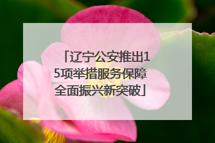 辽宁公安推出15项举措服务保障全面振兴新突破
