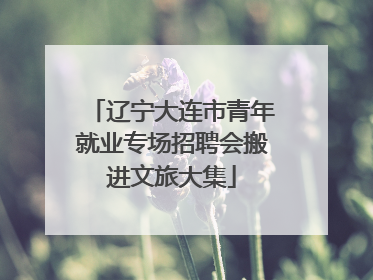 辽宁大连市青年就业专场招聘会搬进文旅大集