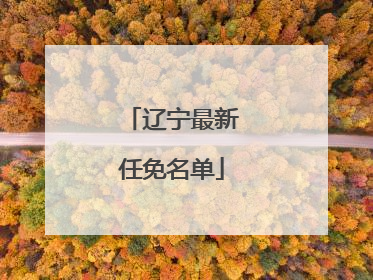 辽宁最新任免名单