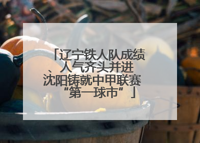 辽宁铁人队成绩、人气齐头并进 沈阳铸就中甲联赛“第一球市”