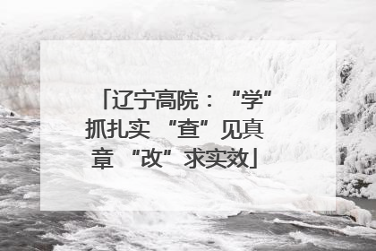 辽宁高院：“学”抓扎实 “查”见真章 “改”求实效