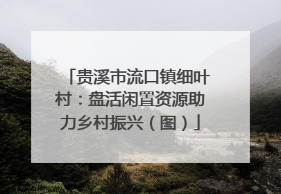 贵溪市流口镇细叶村：盘活闲置资源助力乡村振兴（图）